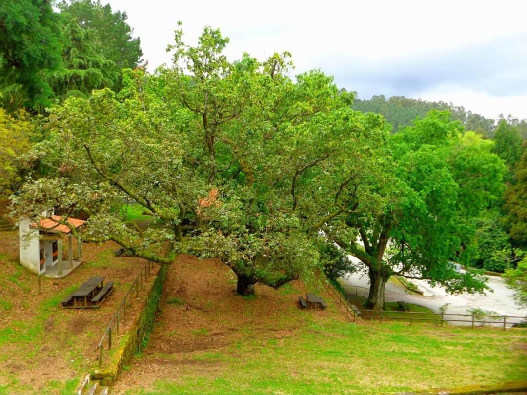 알데이아다스데츠 Casa Do Acor 빌라 외부 사진